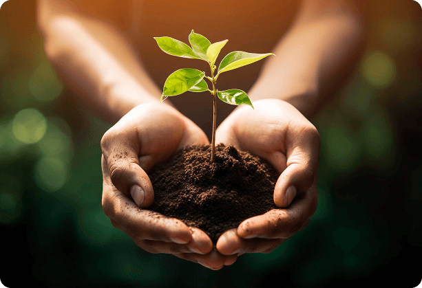 Two hands gently cradle a small green plant sprouting from soil, symbolizing environmental care, growth, and nurturing in a community-focused setting.